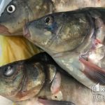 Жителям Днепропетровской области запретят вылавливать рыбу