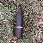 Криворожские взрывотехники обезвредили боеприпасы, которые нашел мужчина в Софийском районе