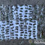 Полицейские Кривого Рога изъяли у местного жителя почти 450 слип-пакетов с каннабисом