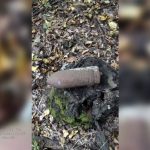 В Криворожском районе мужчина искал грибы, а нашел устаревший снаряд