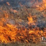 У Криворізькому районі за минулі 4 дні вогнем знищено 32 гектари сухостою