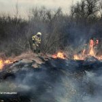 Более 1 400 пожаров потушили спасатели в экосистемах с начала года