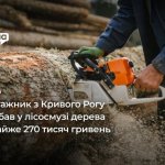 На Криворожье осудили монтажника, который вырубил в лесополосе деревья почти на 270 тысяч гривен